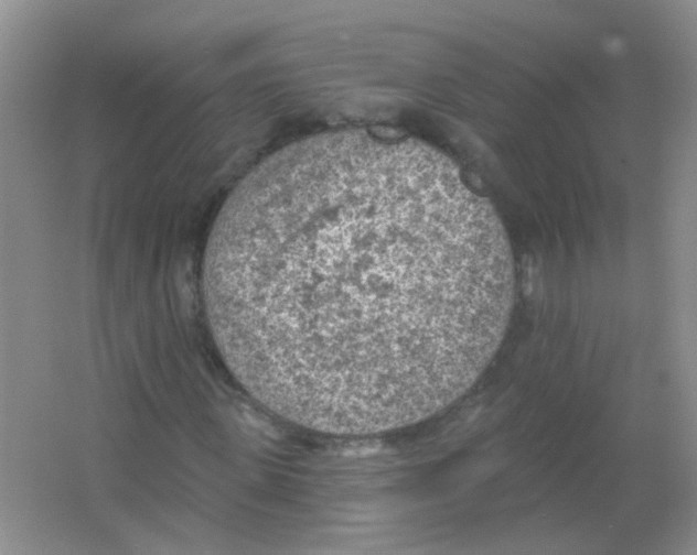 X0000065970915200603311834