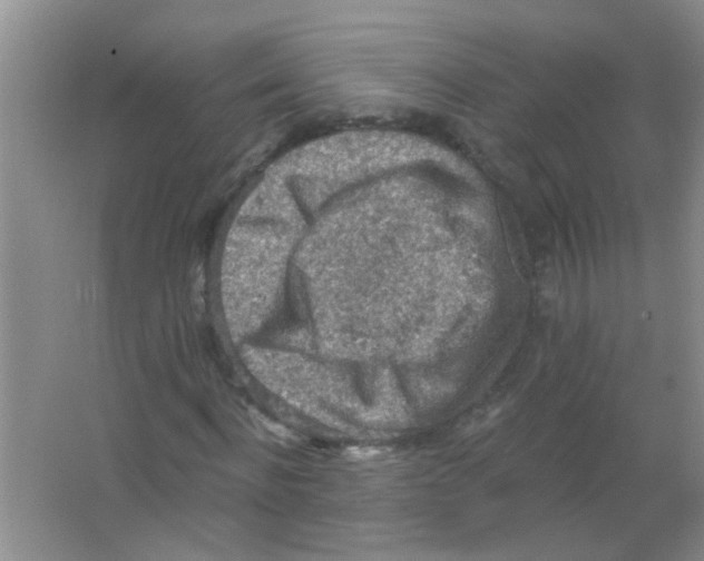 X0000065970916200603311835