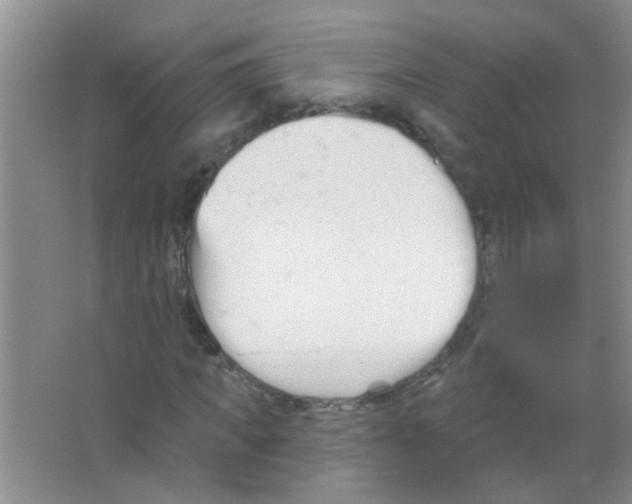 X0000065970917200603311835