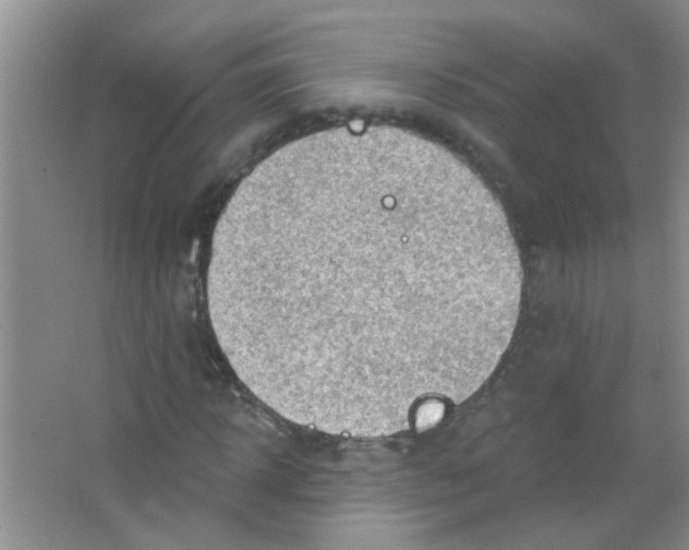 X0000065970918200603311835