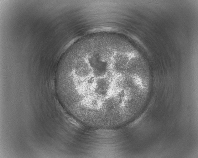 X0000065970921200603311835