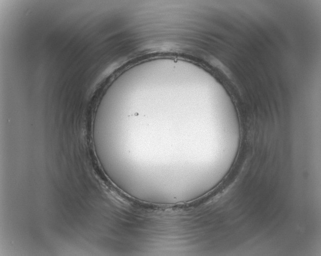 X0000065970922200603311835