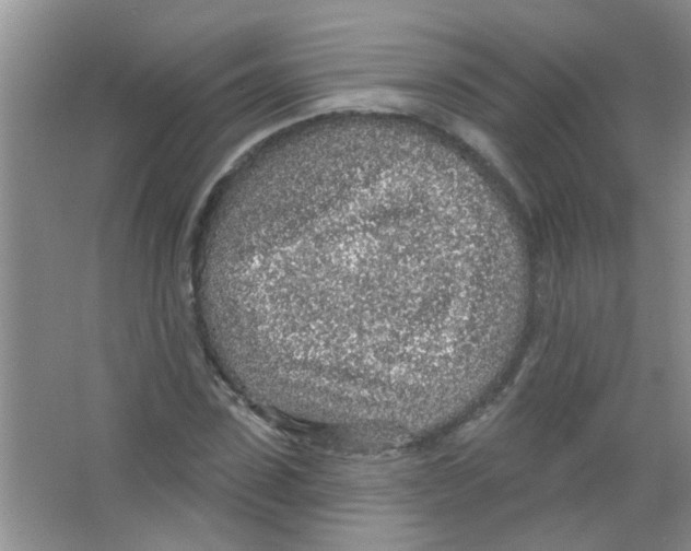 X0000065970923200603311835