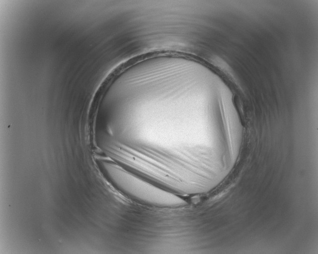 X0000065970924200603311835