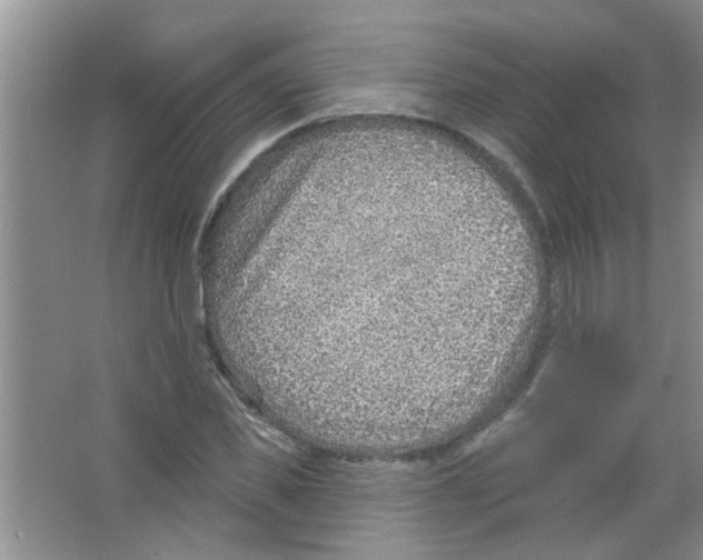 X0000065970925200603311835