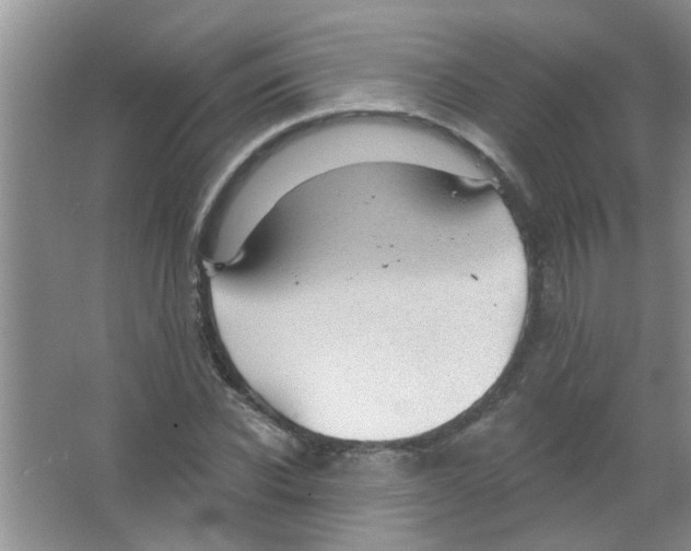 X0000065970926200603311835