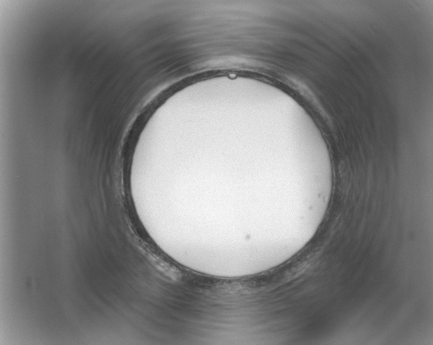 X0000065970931200603311835