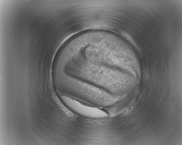 X0000065970932200603311835