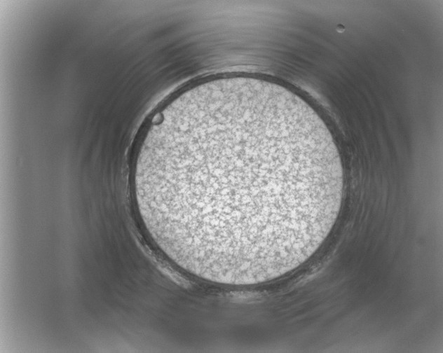 X0000065970933200603311835