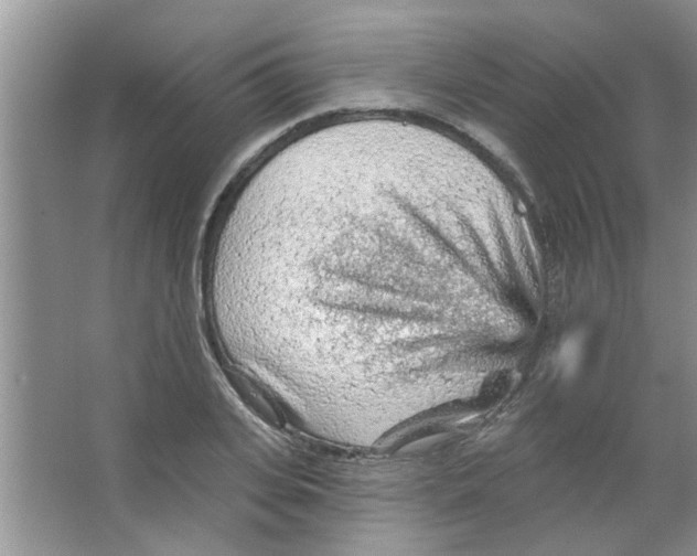 X0000065970935200603311835