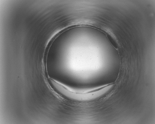 X0000065970936200603311835