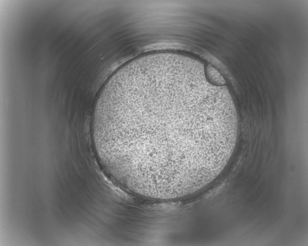 X0000065970937200603311835