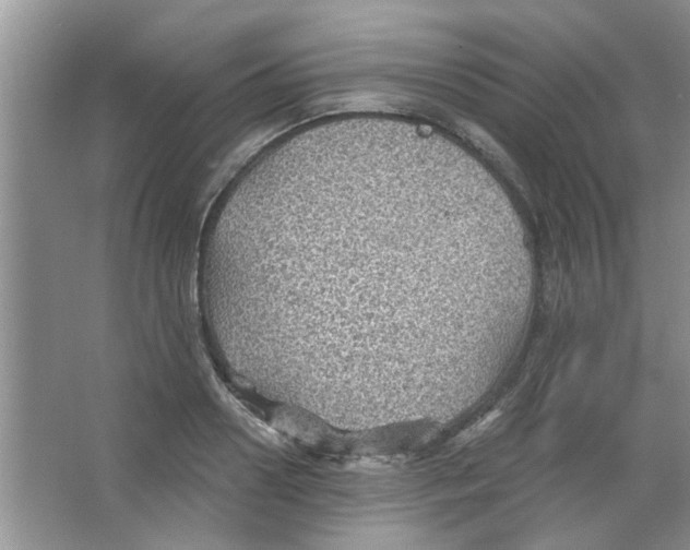 X0000065970938200603311835