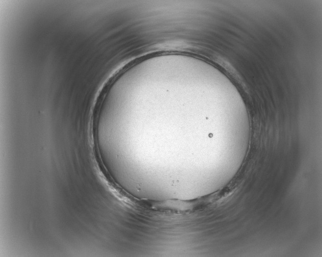 X0000065970939200603311835