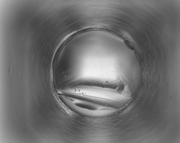 X0000065970940200603311835