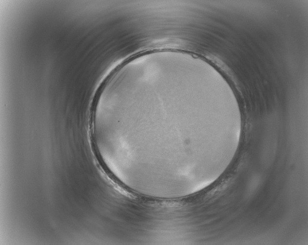 X0000065970941200603311835