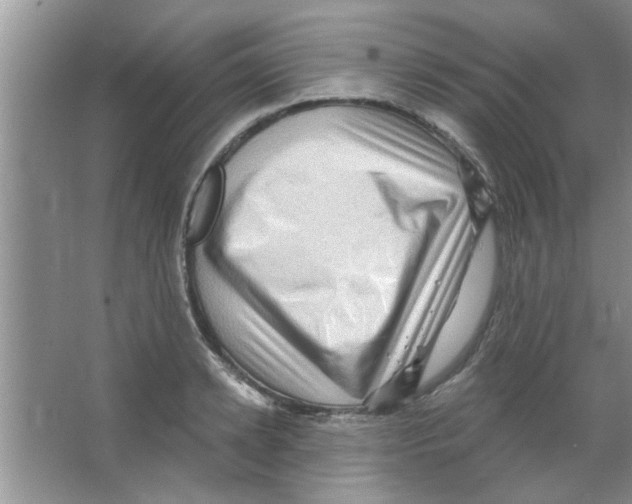 X0000065970942200603311835