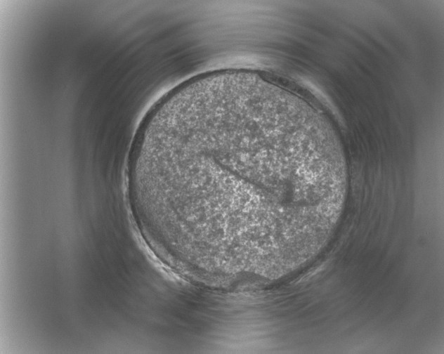 X0000065970944200603311835