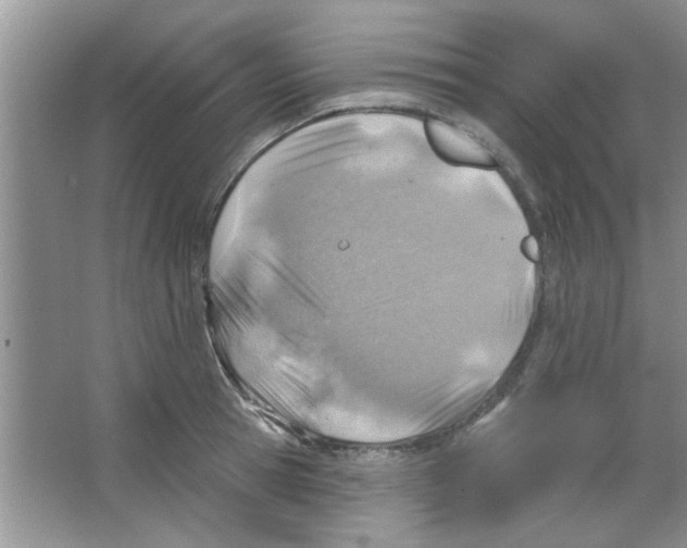 X0000065970945200603311835