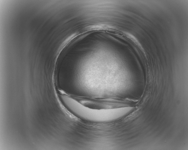 X0000065970946200603311835