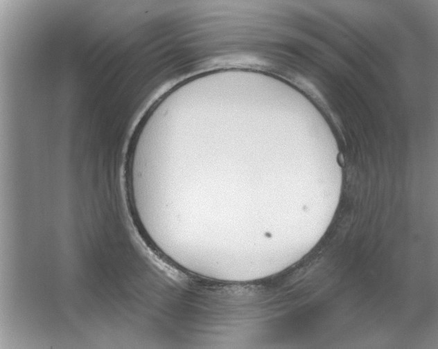 X0000065970947200603311835