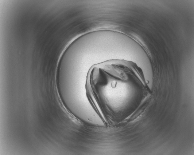 X0000065970948200603311835