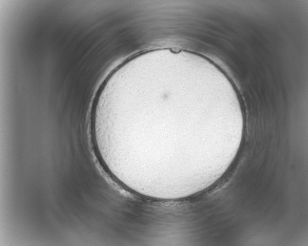 X0000065970949200603311835