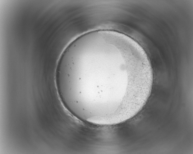 X0000065970950200603311835