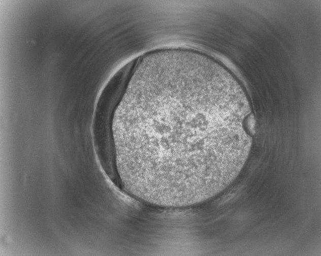 X0000065970951200603311835