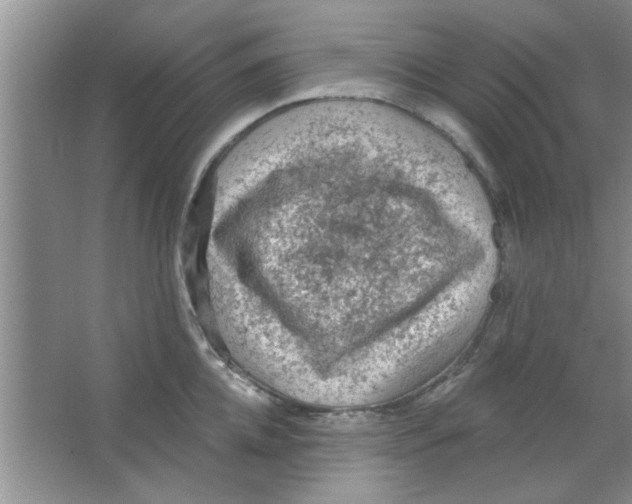 X0000065970952200603311835