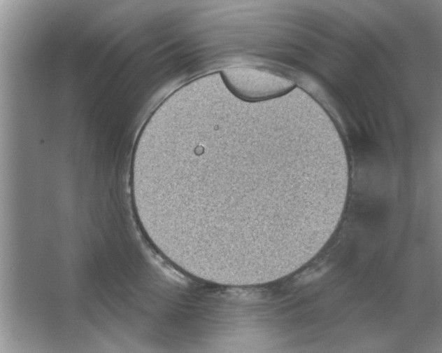 X0000065970954200603311835