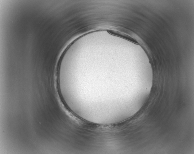 X0000065970955200603311835