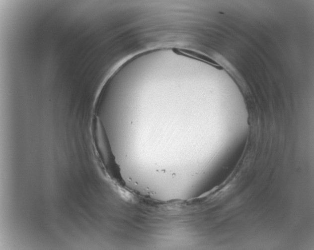 X0000065970956200603311835