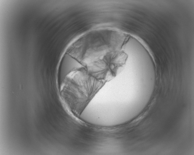 X0000065970957200603311835