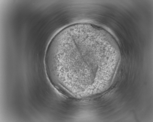 X0000065970959200603311835