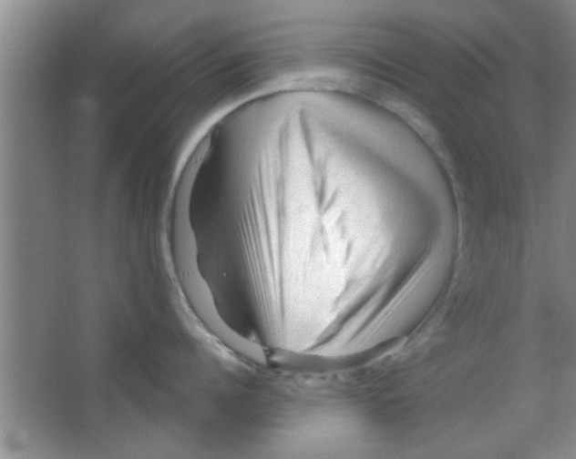 X0000065970960200603311835