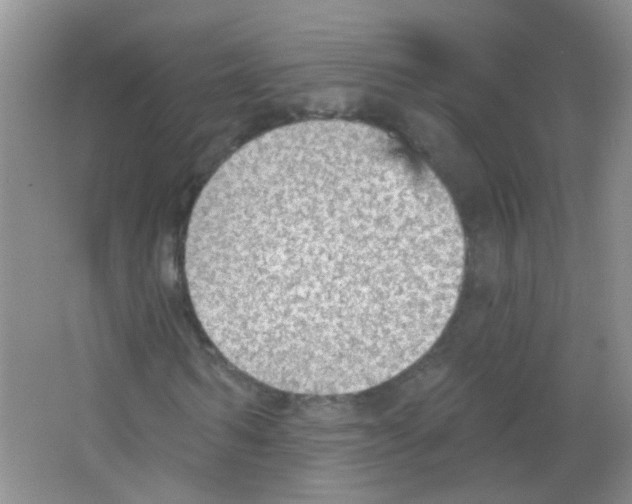 X0000065970962200603311834