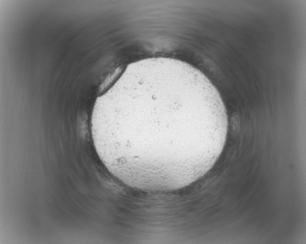 X0000065970963200603311834