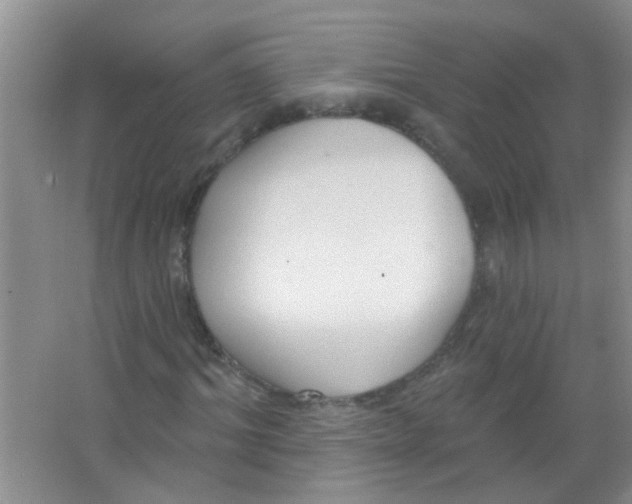 X0000065970964200603311834