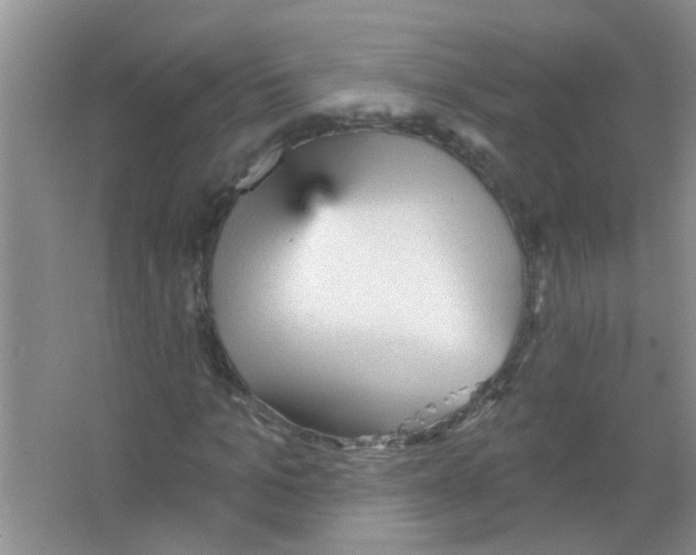 X0000065970965200603311834