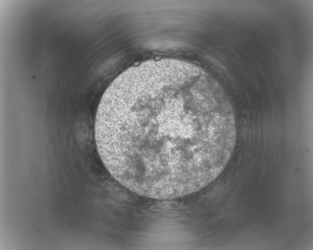 X0000065970966200603311834