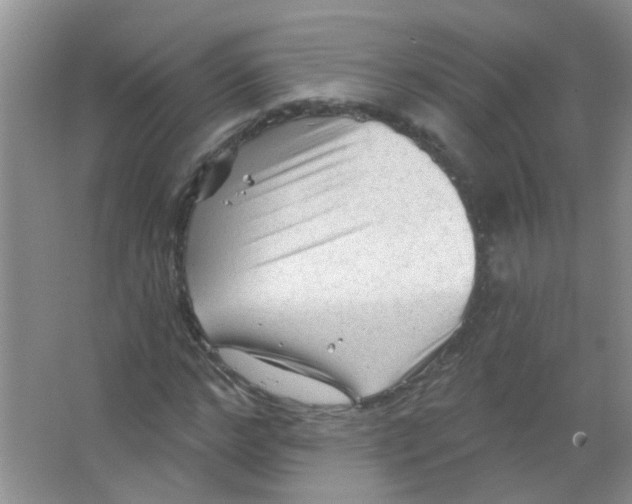 X0000065970968200603311834