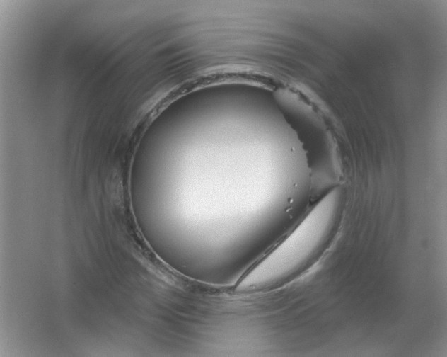 X0000065970969200603311834