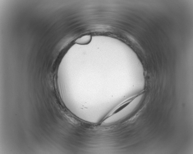 X0000065970970200603311834