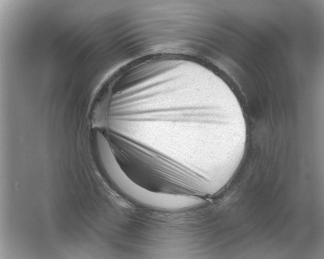 X0000065970971200603311834