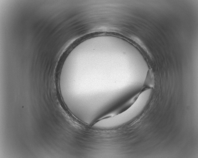 X0000065970972200603311834