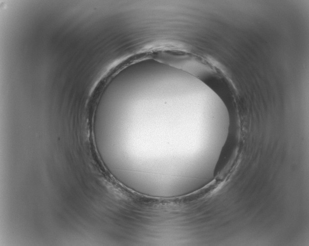 X0000065970973200603311834