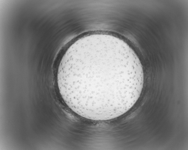 X0000065970974200603311834