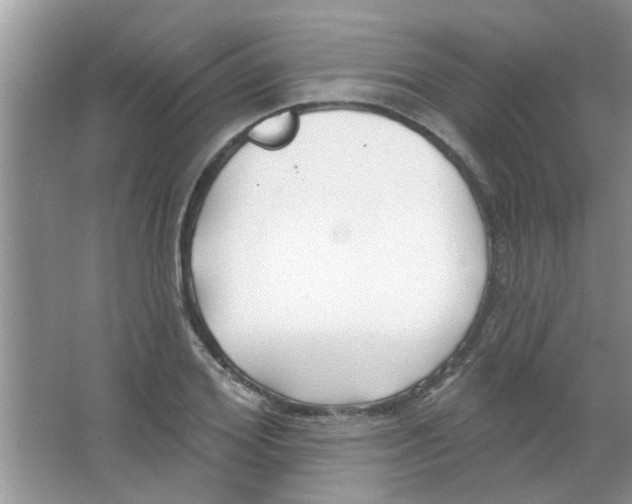 X0000065970980200603311834