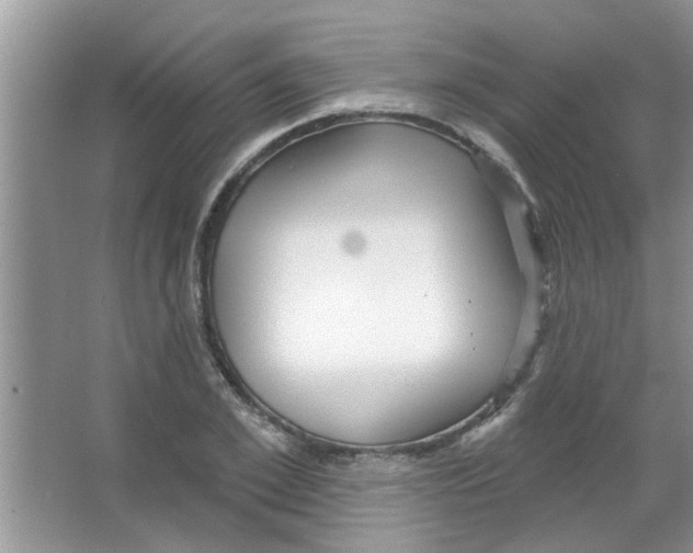 X0000065970981200603311834